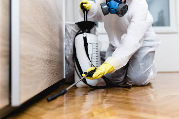 Best Pest Control Near Me  in Bellevue, PA