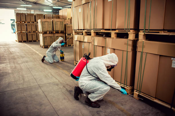 Best Pest Inspection Near Me  in Bellevue, PA