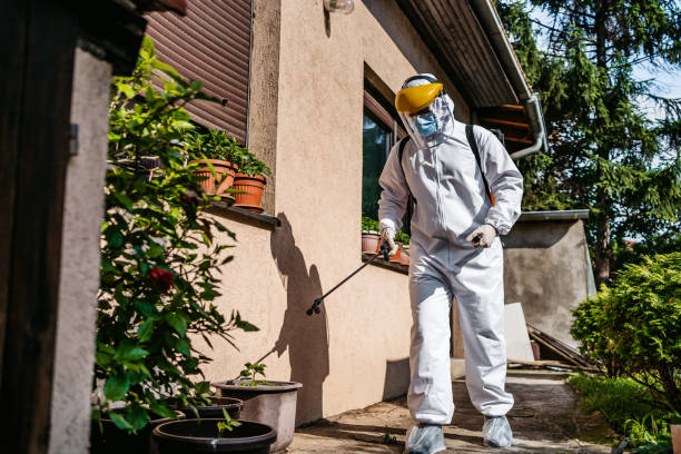 Best Mosquito Control Services  in Bellevue, PA