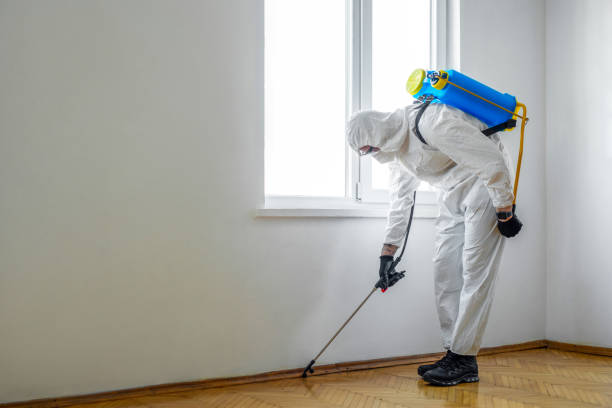 Insect Control in Bellevue, PA