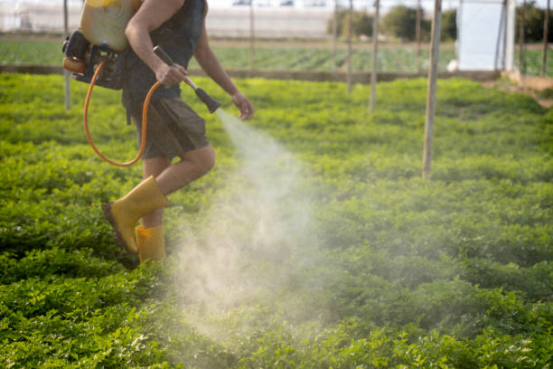 Best Commercial Pest Control Services  in Bellevue, PA