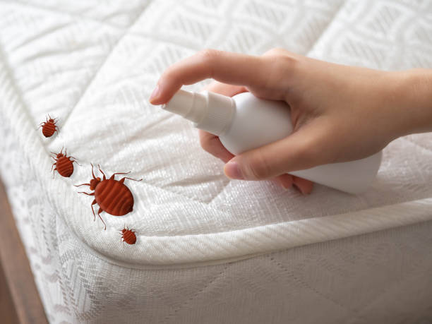 Pest Prevention Services in Bellevue, PA