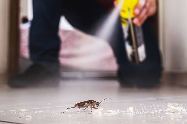 Pest Control for Restaurants in Bellevue, PA